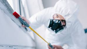 Best Residential Pest Control  in Sardinia, OH